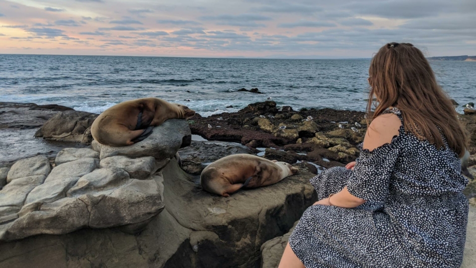 California State University Channel Island – time to go home