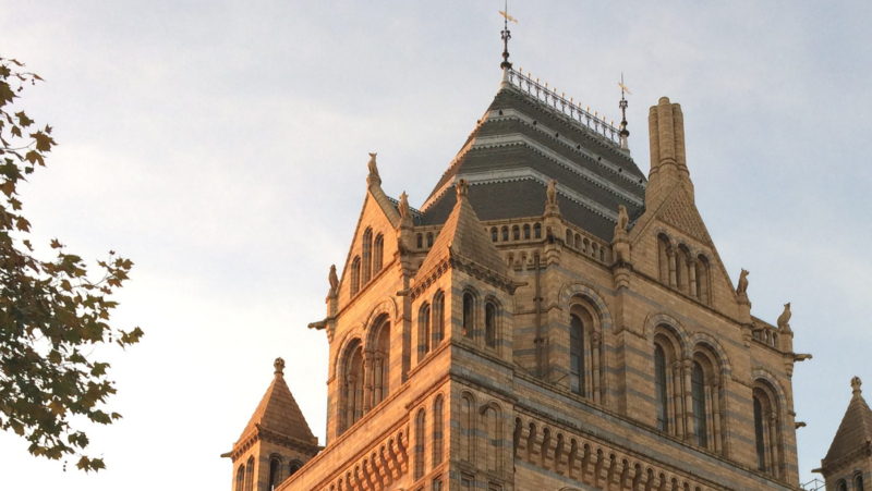 Living in Harrow Halls, design courses & must-sees in London